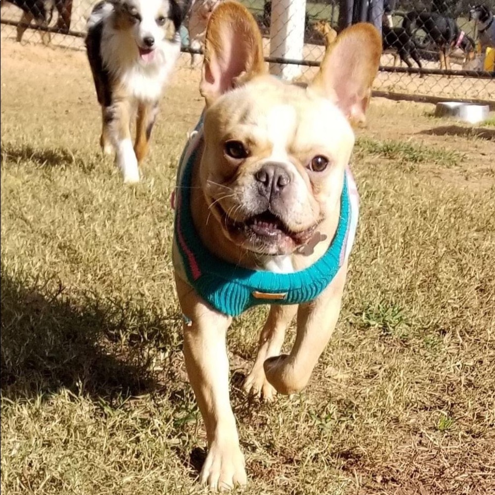 Meet your Posher, Wendy